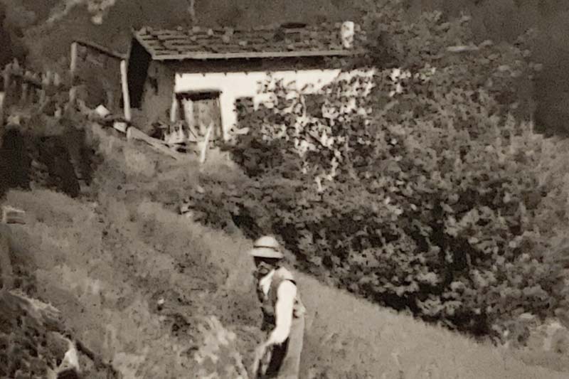 Geschichte vom Tumlhof