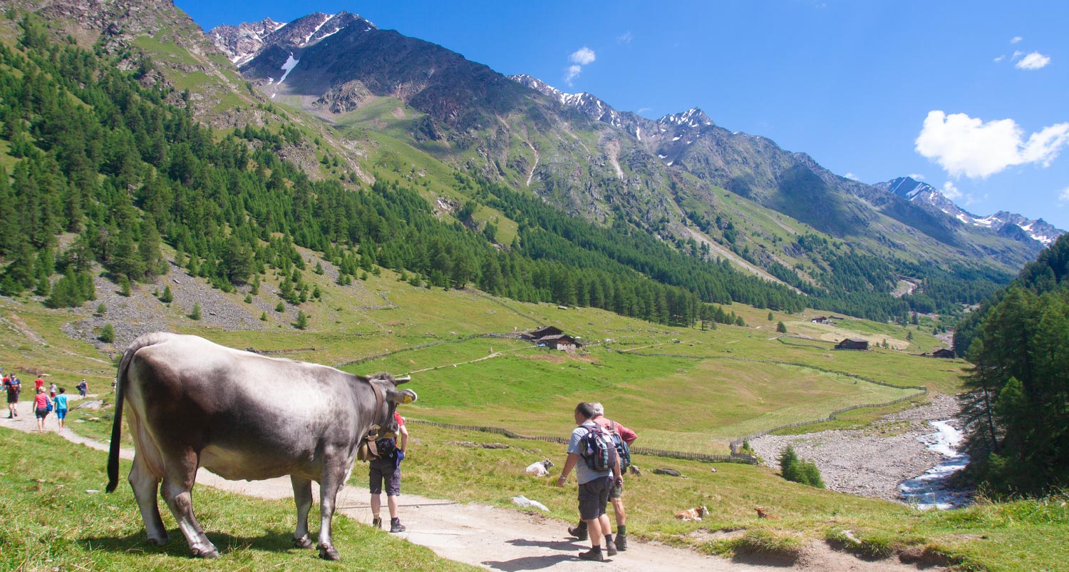 Das Pfossental im Naturpark Texelgruppe 