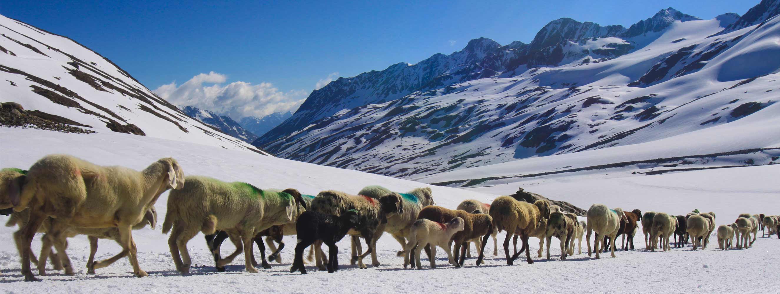 Sehenswertes und Kultur im Schnalstal